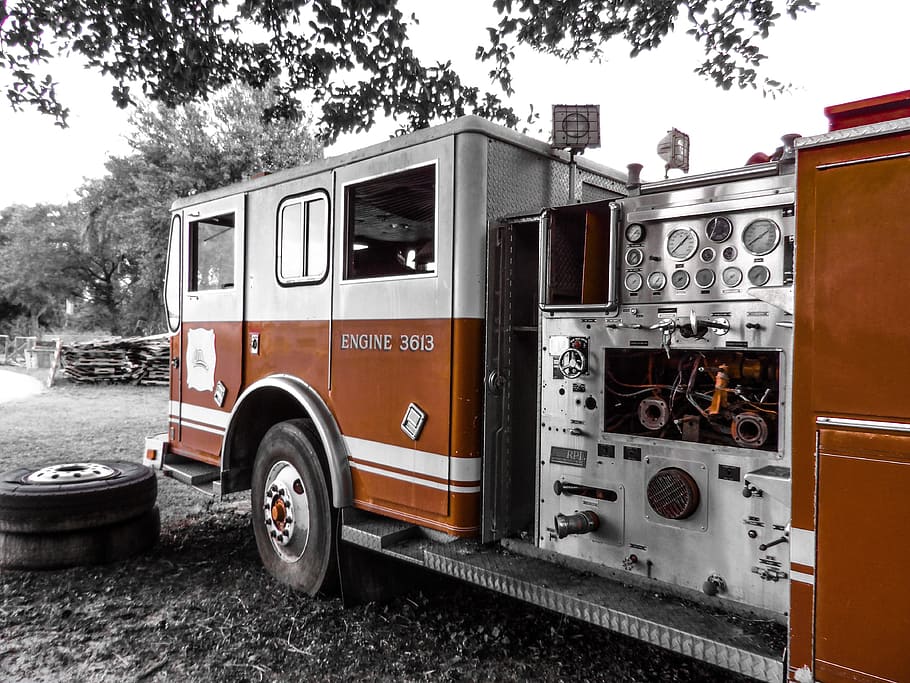 grayscale photo of firetruck under the tree, engine, antique truck HD wallpaper