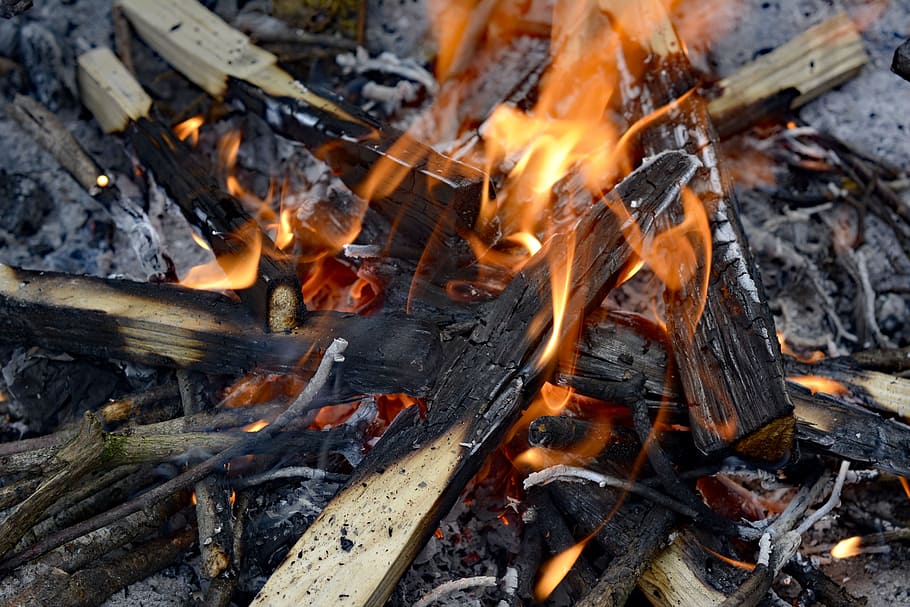 burning bonfire, grilling, wood, ash, heiss, flame, yellow HD wallpaper