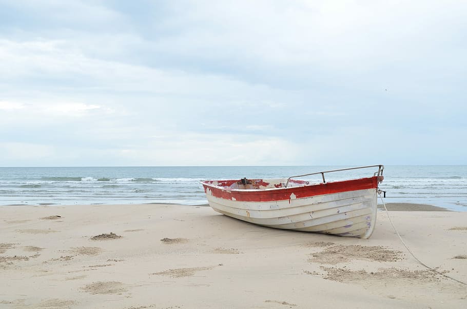 white jon boat near seashore, beach, travel, summer, ocean, water
