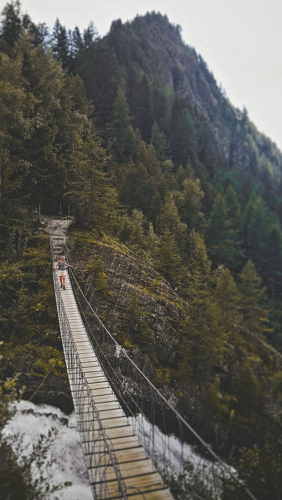 The Bridge, woman walking on hanging bridge, mountain, tree, woodland HD wallpaper