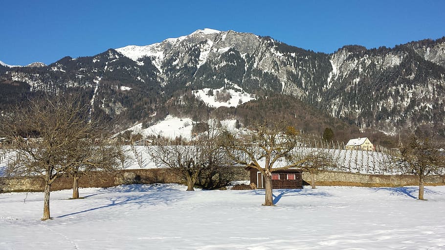 hut, snow, mountain, wintry, cold, sun, snowy, trees, sunny HD wallpaper