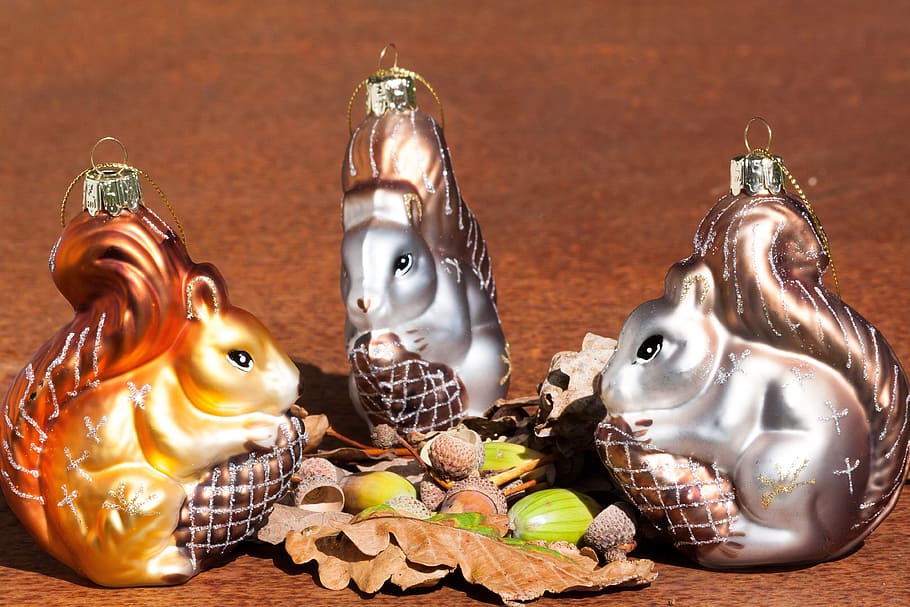 Squirrel, Christmas Decorations, Acorns, oak leaves, autumn HD wallpaper