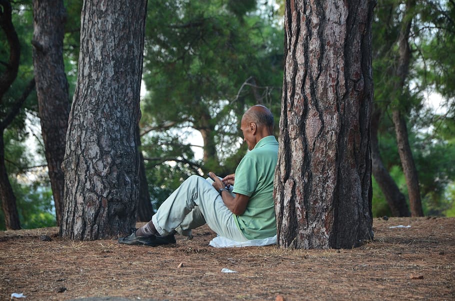 Tree, Loneliness, Man, Old, Thoughts, death, terry, tomb, tree trunk HD wallpaper