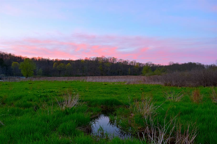 field, sunset, trees, mountain, red, pink, stream, landscape HD wallpaper