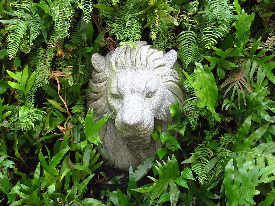 gray lion concrete outdoor decor surrounded by plants, idol HD wallpaper