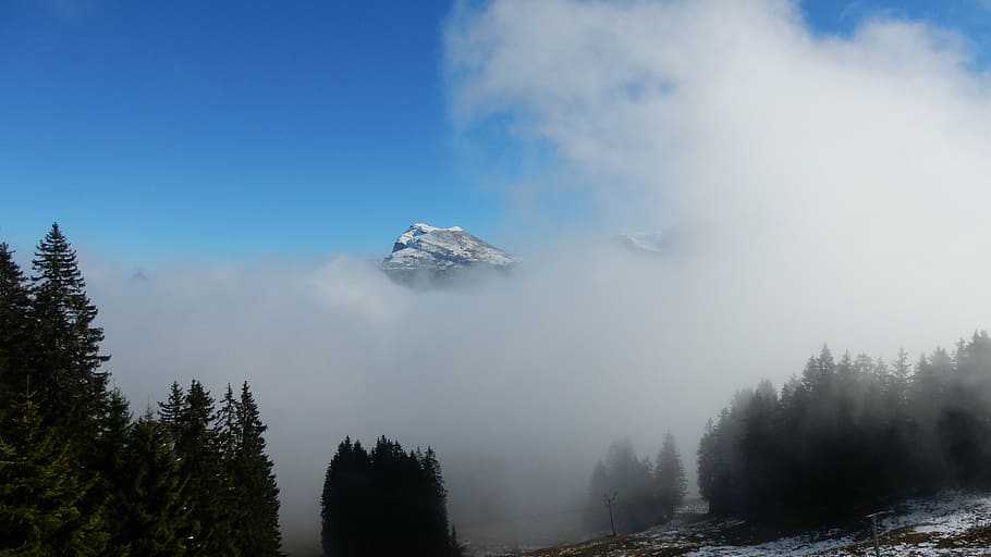 fog, mountains, sky, blue, tree, plant, cloud - sky, beauty in nature HD wallpaper