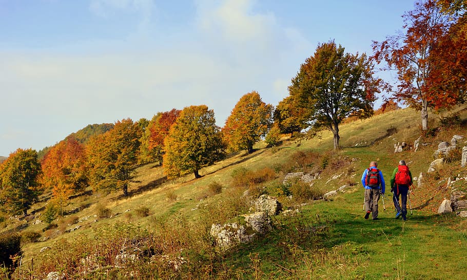 excursion, trail, walking with sticks, mountain, the european path HD wallpaper