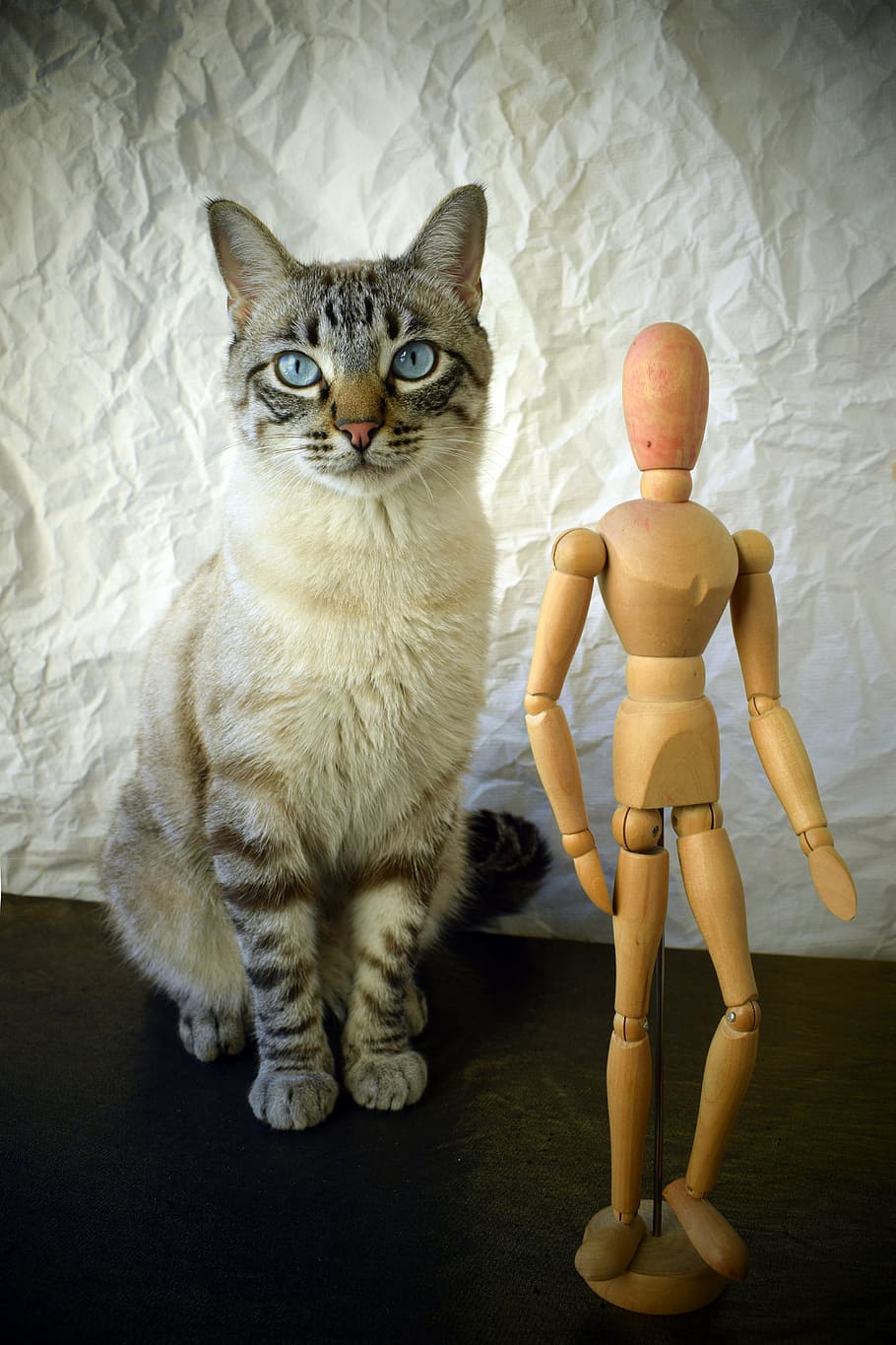 silver tabby cat sitting beside manikin action figure, pet, animals, HD wallpaper