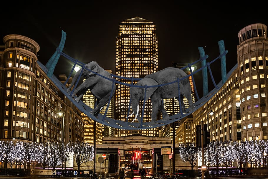 two elephant on bridge statue between buildings, mall, store HD wallpaper