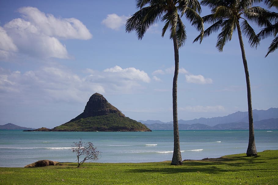 brown mountain, hawaii, oahu, beach, ocean, sea, outdoor, tropical, HD wallpaper