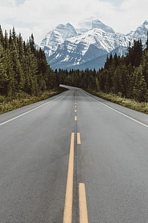 gray pavement road surrounded by trees taken at daytime, empty road between green leaf trees near white mountain HD wallpaper