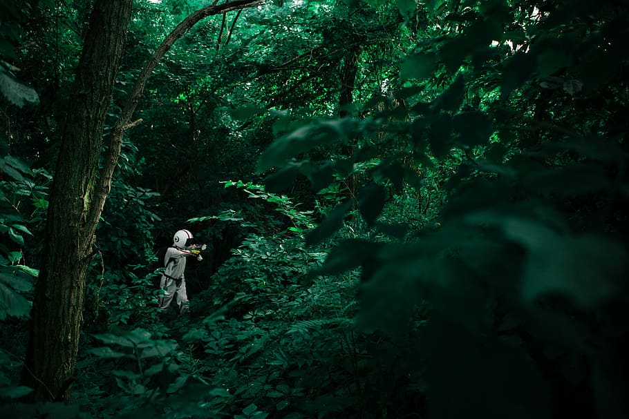 person wearing white helmet standing near trees, people, man, HD wallpaper
