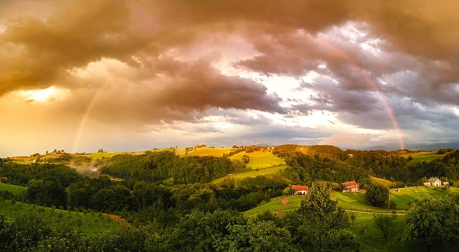 aerial photography of forest, rainbow, weather, sky, clouds HD wallpaper
