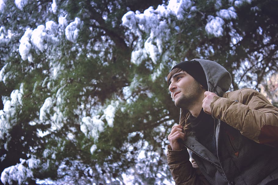 man, guy, hoodie, cold, jacket, winter, trees, snow, adventure HD wallpaper