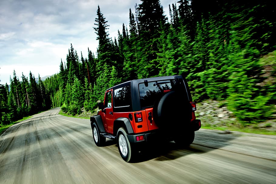 red Jeep Wrangler near the trees, car, land Vehicle, transportation HD wallpaper