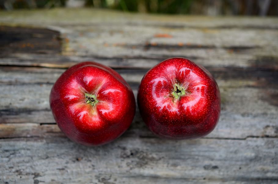 two red apples, fruit, healthy, vitamins, frisch, eat, ripe HD wallpaper