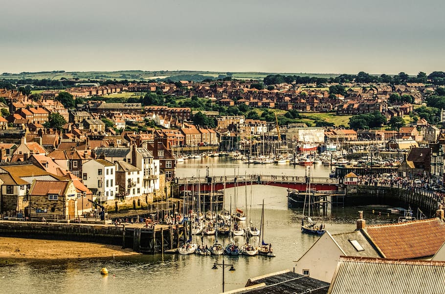 coast, town, city, abbey, seaside, north, seafront, england
