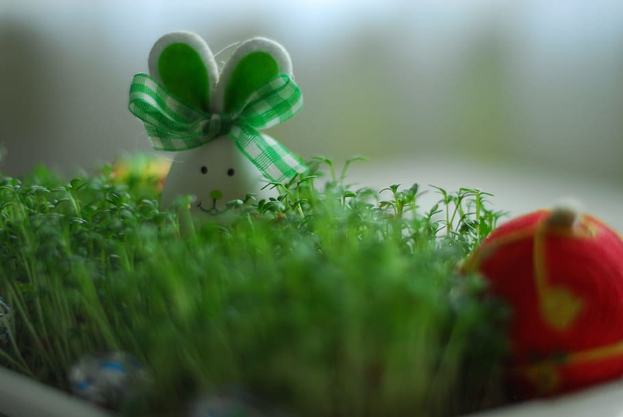 Easter, Hare, Hare, Green, Holidays, bunny, decoration, easter holidays HD wallpaper
