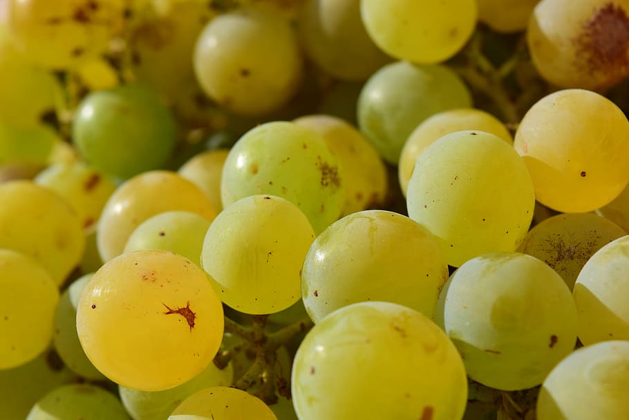 grapes, close, fruit, healthy, green grapes, sweet, ripe, background HD wallpaper