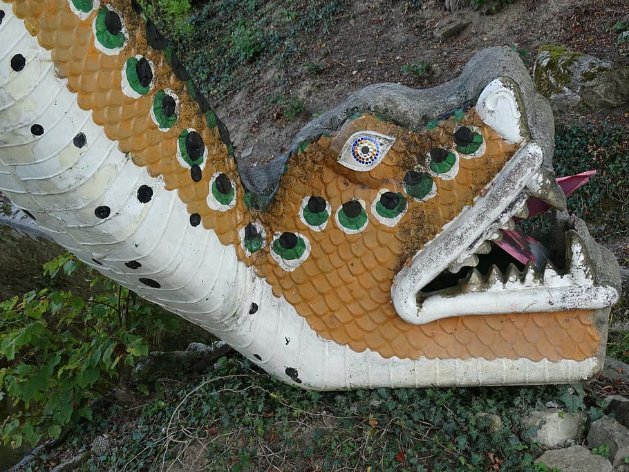 figure, snake, snakehead, reptile, animal, high angle view HD wallpaper