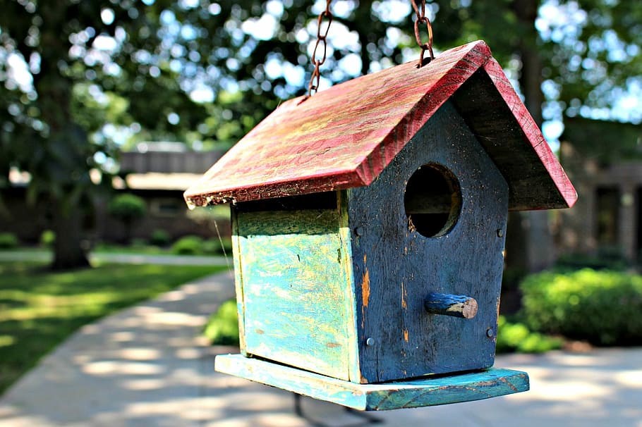 Bird House, House, Garden, Rustic, Nature, shelter, built structure HD wallpaper