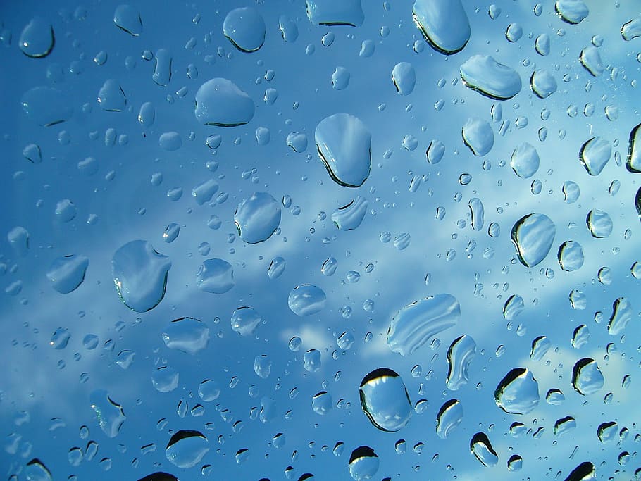 Water, Drops, Celeste, Moisture, Nature, rainy, damp, full frame HD wallpaper