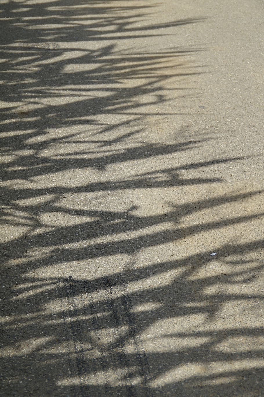 cornfield, shadow, ground, tar, road, away, structure, texture HD wallpaper