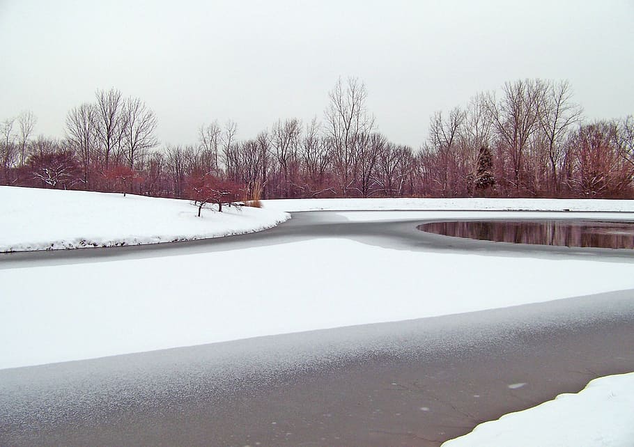 frozen, pond, winter, ice, snow, trees, cold temperature, nature HD wallpaper