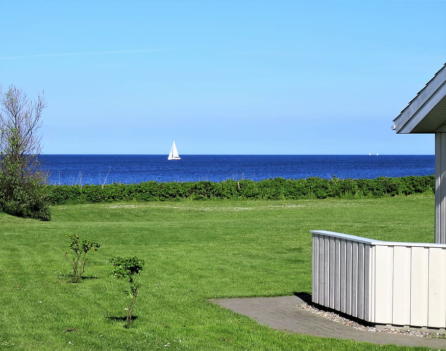 white sail boat in the sea under clear sky, Baltic Sea, Sea, Coast