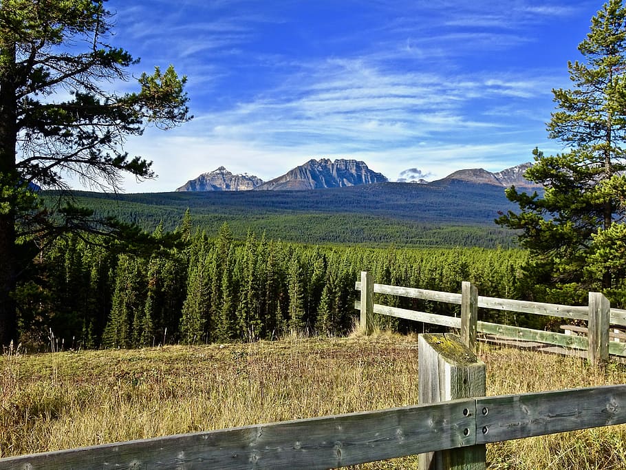 mountain, forest, perspective, peaks, clouds, landscape, natural HD wallpaper