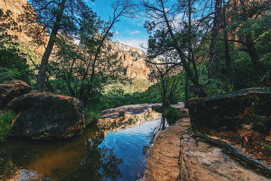 close-up photography of body of water surrounded by trees and rocks HD wallpaper