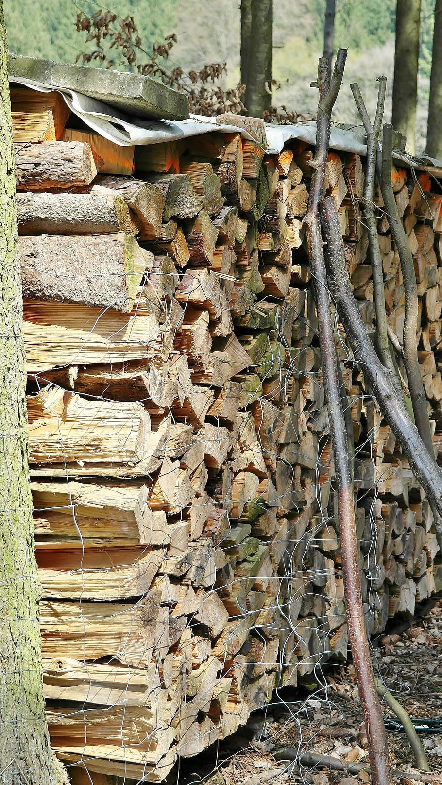 wood, holzstapel, tree trunks, forestry, log, timber industry HD wallpaper