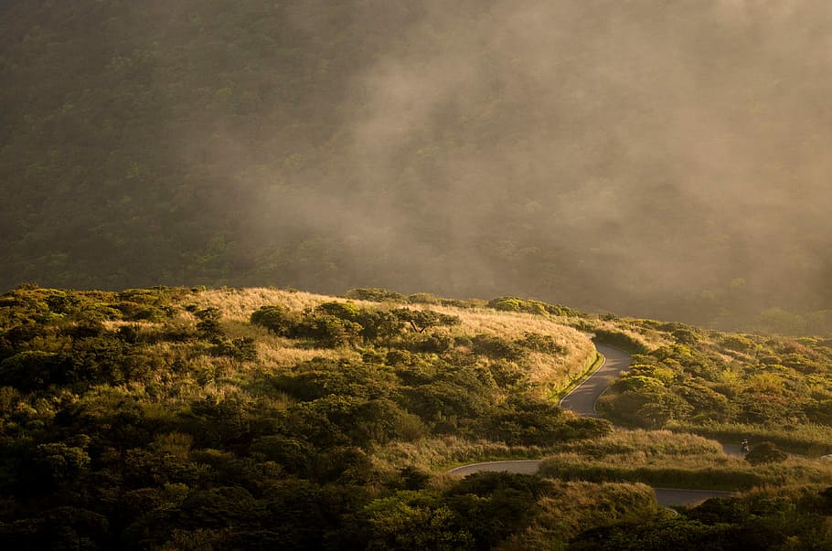 open field landscape photo, road, nature, cloud - Sky, cloudscape HD wallpaper