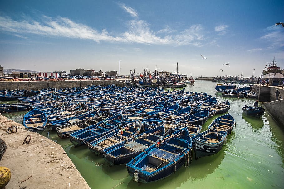 blue boat lot in water, morocco, morroco, city, color, harbor, HD wallpaper