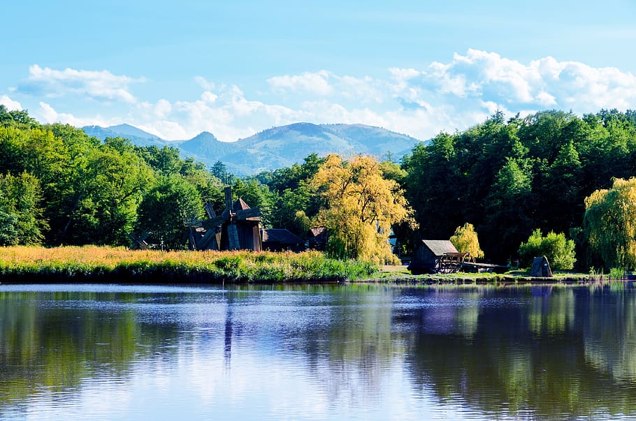 blue sky, water, spring, tree, plant, lake, scenics - nature HD wallpaper