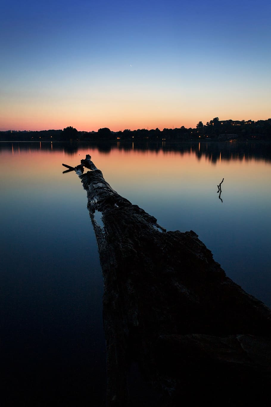 sunset, log, water, summer, tree, wood, landscape, evening HD wallpaper