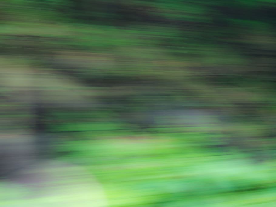 Motion Blur of Trees, black, green, Abstract, Nature, backgrounds HD wallpaper