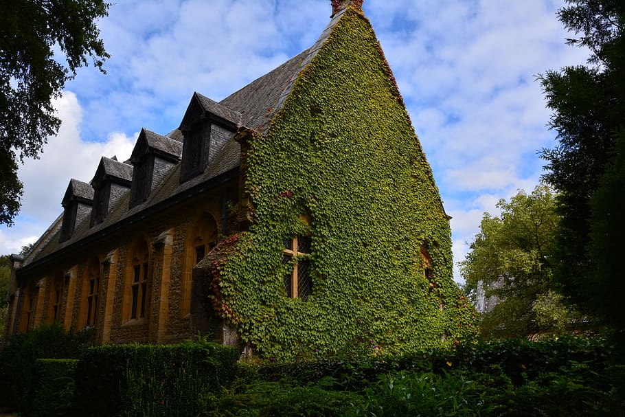 abbey, orval, belgium, architecture, plant, built structure HD wallpaper