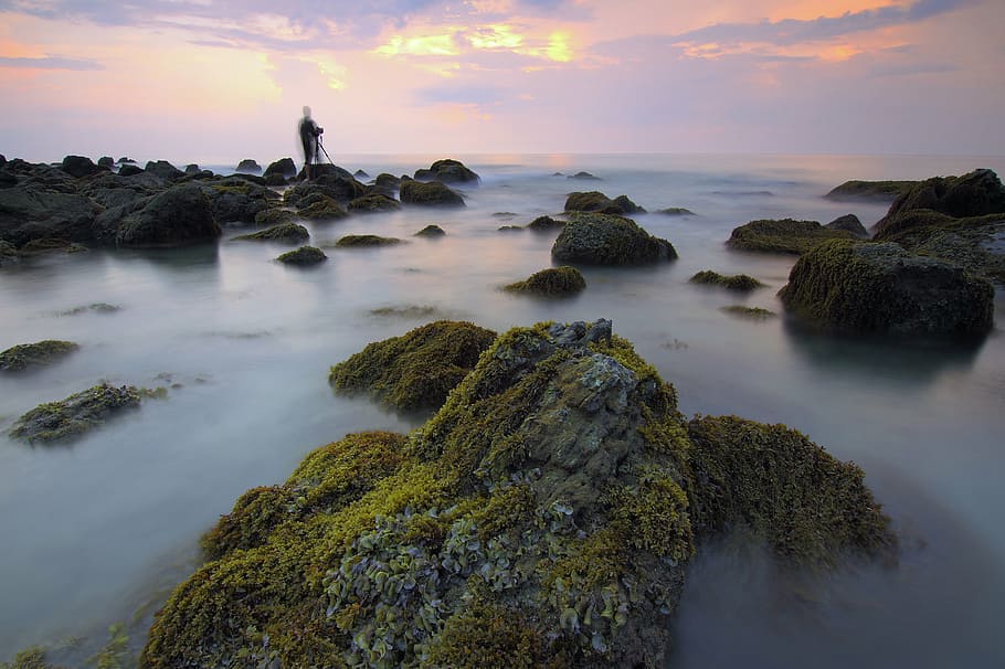 backlit, beach, dawn, dusk, foggy, landscape, light, Mossy rocks HD wallpaper