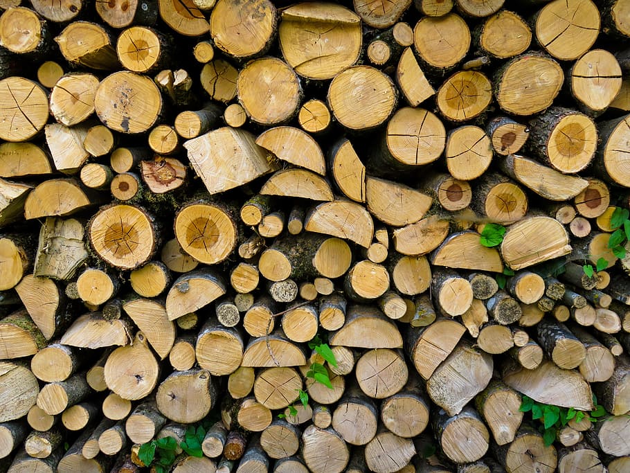 background, texture, tribe, firewood, holzstapel, forestry HD wallpaper