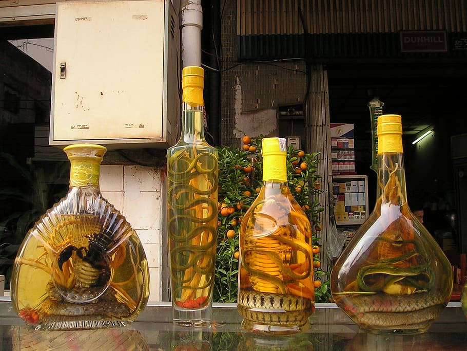 alcohol, drink, liqueur, snakes, inserted, scorpio, laos, southeast, HD wallpaper