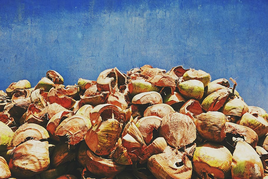 coconut, shells, material, blue, wall, empty, cut, remainder HD wallpaper