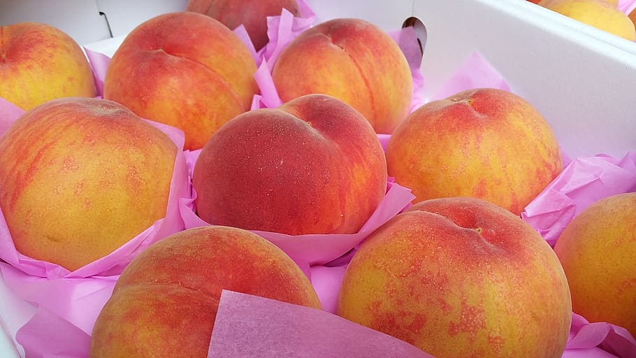 bunch of red apples, peach, the ecliptic, fruit, food and drink HD wallpaper