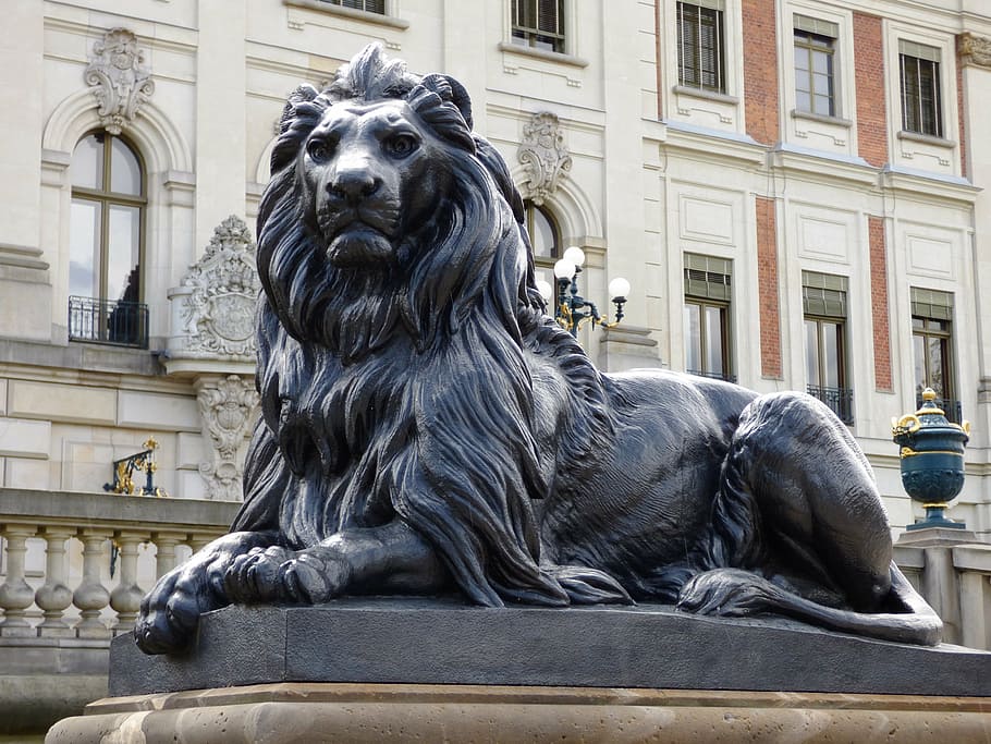 lion, the statue, sculpture, castle, poland, pszczyna, the palace, HD wallpaper