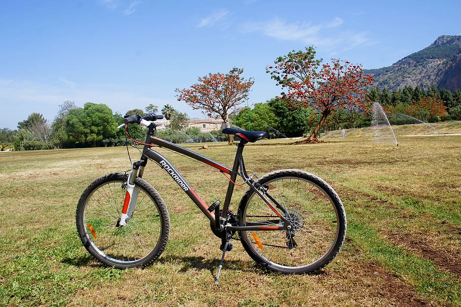 Bicycle, Landscape, Sicily, cycling, nature, outdoors, grass HD wallpaper