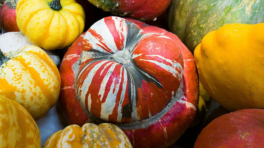 pumpkins, vegetables, food and drink, healthy eating, wellbeing HD wallpaper
