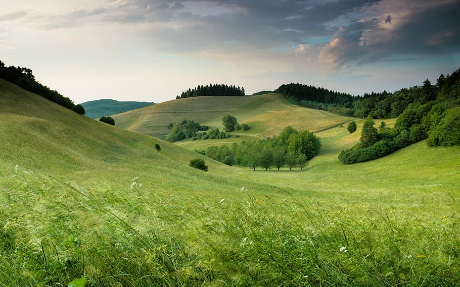 green hills with forest under cloudy sky during daytime, trees on grass covered hill during day HD wallpaper