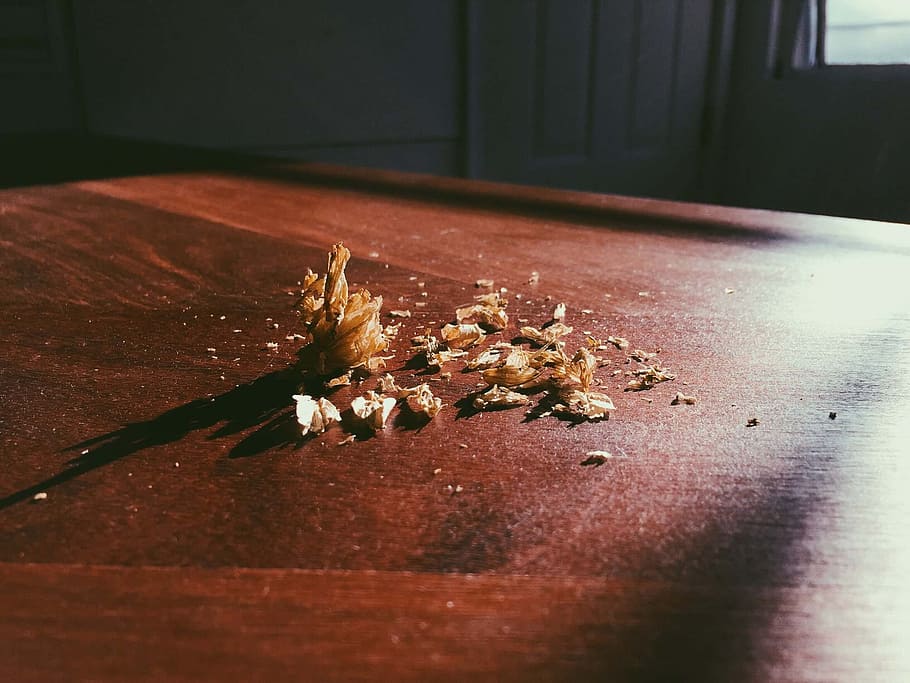 hops, beer, brewery, ingredients, close-up, no people, indoors HD wallpaper