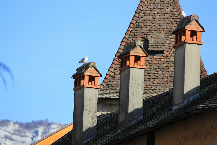 ceiling, seagull, fireplace, built structure, architecture HD wallpaper
