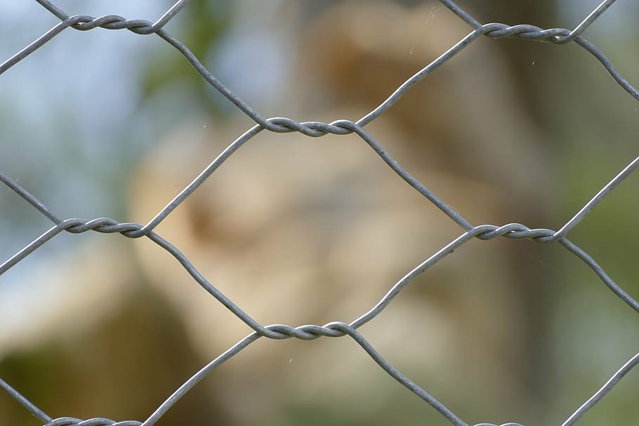 iloveit, by, me, security, fence, protection, focus on foreground HD wallpaper